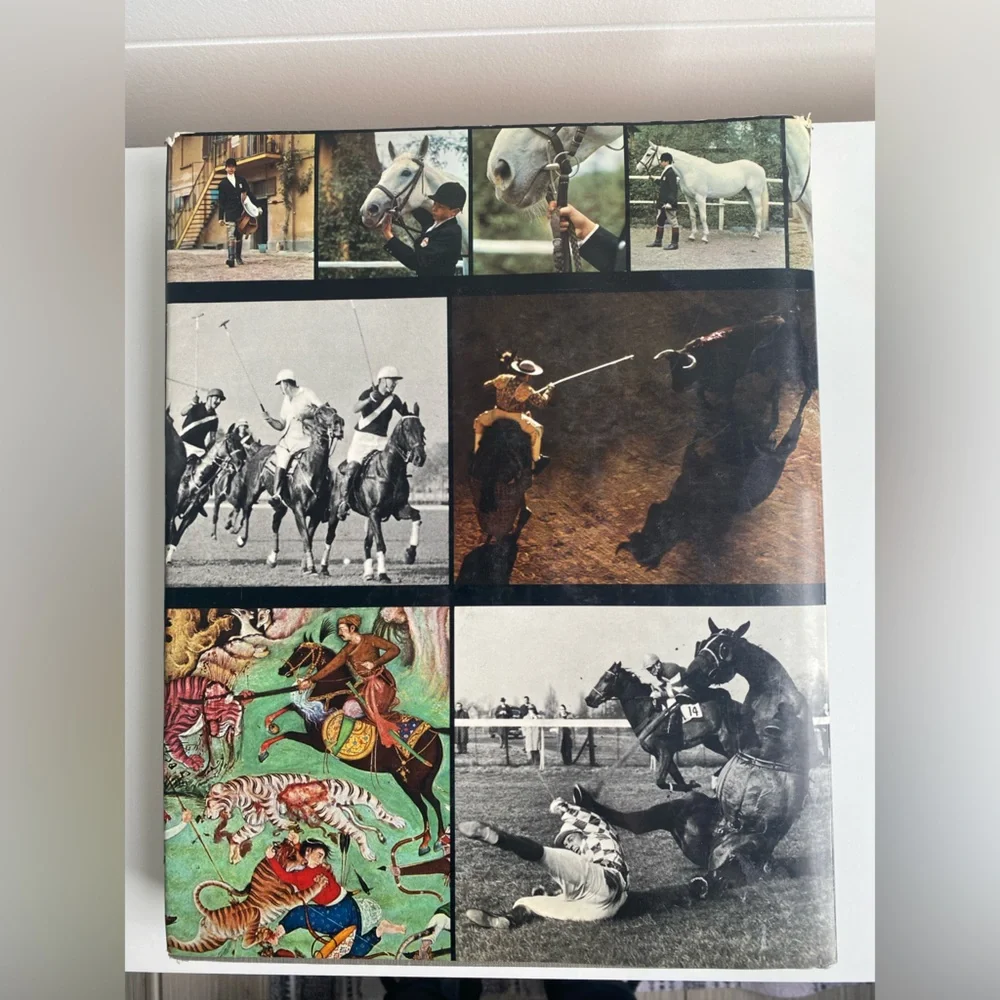 Horses And Horsemanship Through The Ages Luigi Gianoli Hardcover Vintage 1969 - Picture 7 of 17